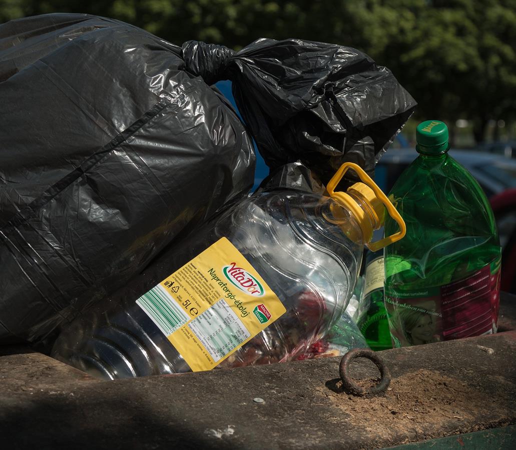 Butelki plastikowe powodują degradację środowiska naturalnego